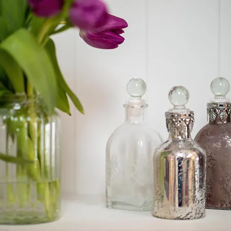 Dolomitenloft شقة